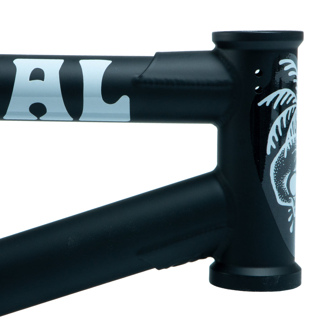 federal-bikes-bmx-boyd-hilder-frame-matt-black-5_1500x1500