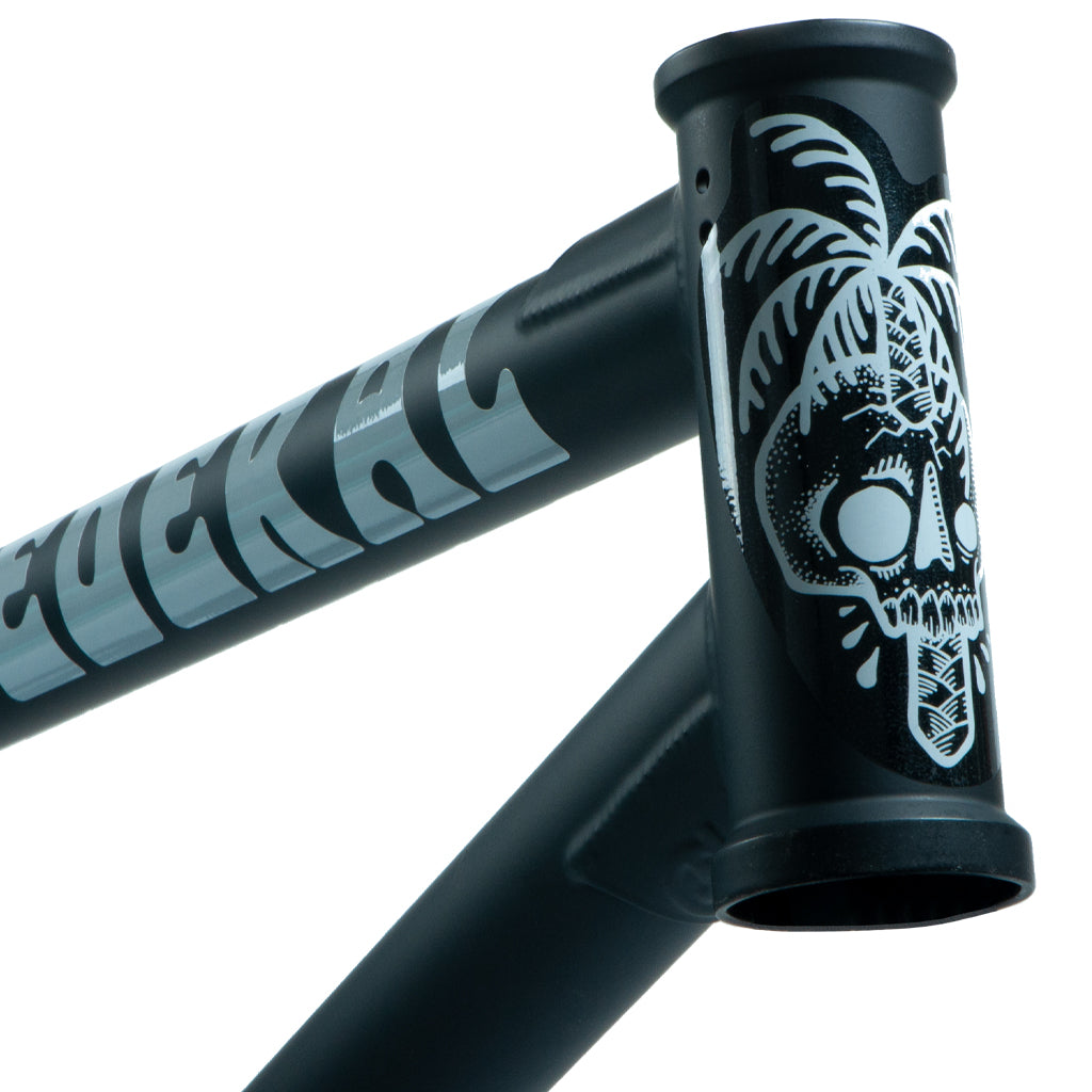 federal-bikes-bmx-boyd-hilder-frame-matt-black-9_1500x1500